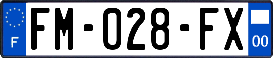 FM-028-FX