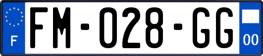 FM-028-GG