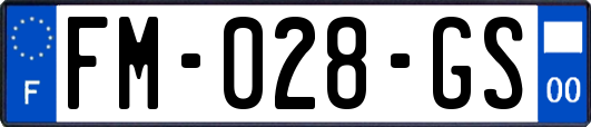 FM-028-GS