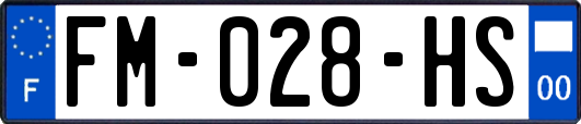 FM-028-HS