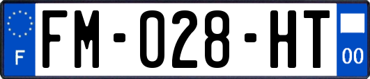 FM-028-HT