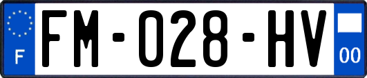 FM-028-HV