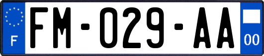 FM-029-AA