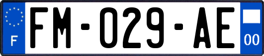 FM-029-AE