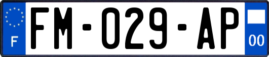 FM-029-AP