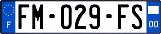 FM-029-FS