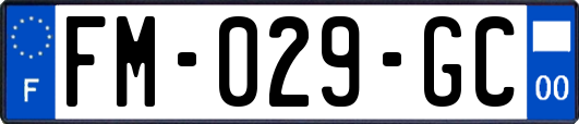 FM-029-GC