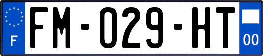 FM-029-HT