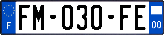 FM-030-FE