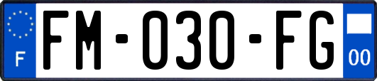 FM-030-FG