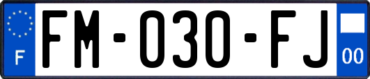 FM-030-FJ