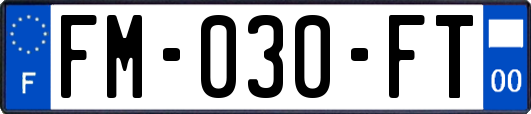 FM-030-FT