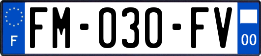 FM-030-FV
