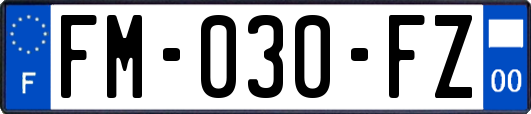 FM-030-FZ
