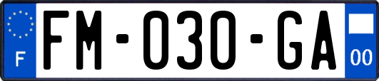 FM-030-GA