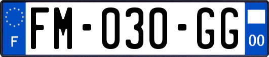 FM-030-GG