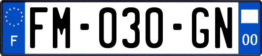 FM-030-GN