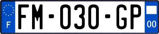 FM-030-GP