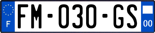 FM-030-GS