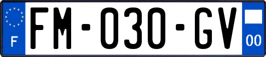 FM-030-GV