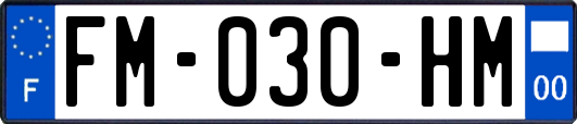 FM-030-HM