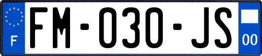 FM-030-JS
