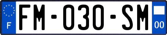 FM-030-SM