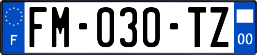 FM-030-TZ