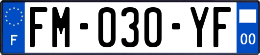 FM-030-YF