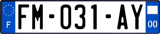 FM-031-AY