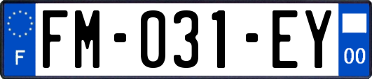 FM-031-EY