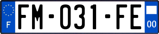 FM-031-FE