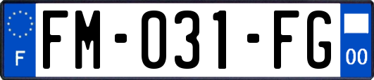 FM-031-FG