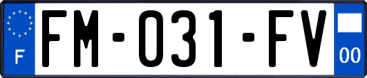 FM-031-FV