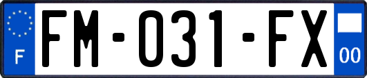 FM-031-FX