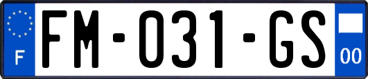 FM-031-GS