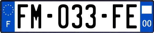 FM-033-FE