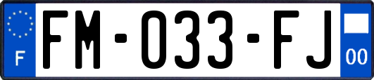 FM-033-FJ