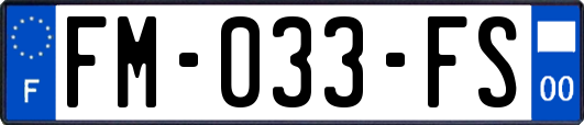 FM-033-FS