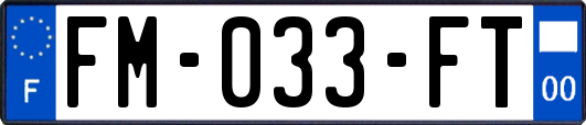 FM-033-FT