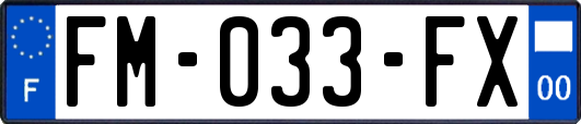 FM-033-FX