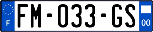 FM-033-GS