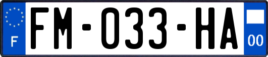 FM-033-HA