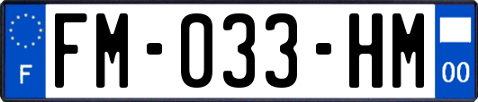 FM-033-HM