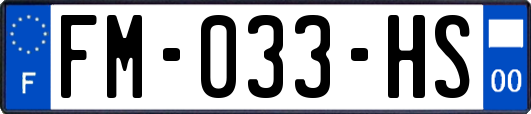 FM-033-HS