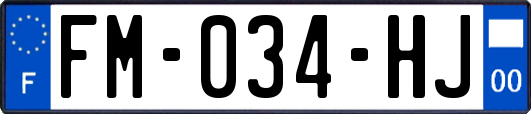 FM-034-HJ