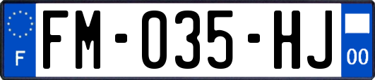 FM-035-HJ