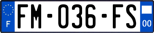 FM-036-FS