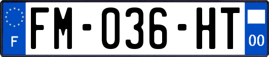 FM-036-HT