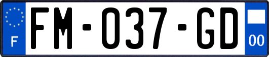 FM-037-GD